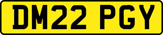 DM22PGY