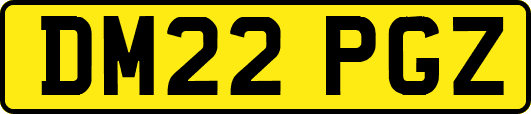 DM22PGZ