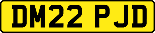 DM22PJD
