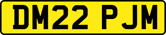 DM22PJM