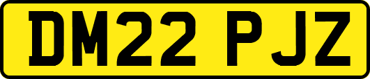 DM22PJZ