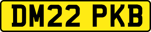 DM22PKB