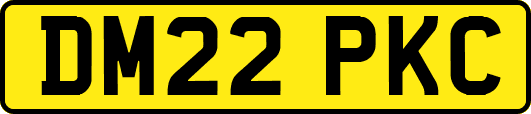 DM22PKC