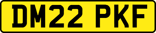 DM22PKF
