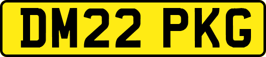DM22PKG