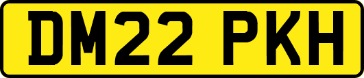 DM22PKH