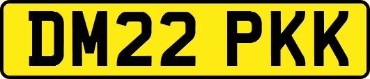 DM22PKK