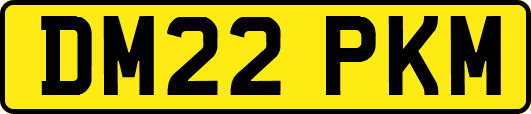 DM22PKM
