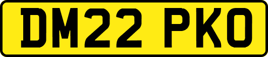 DM22PKO