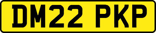 DM22PKP