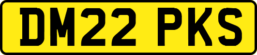 DM22PKS