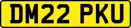 DM22PKU
