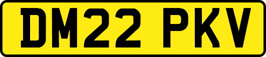 DM22PKV