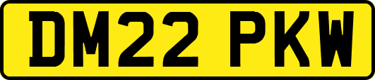 DM22PKW