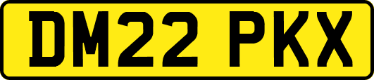 DM22PKX