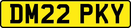 DM22PKY