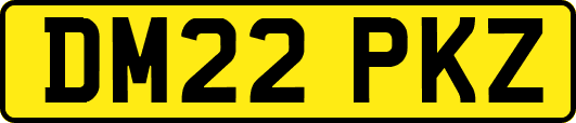 DM22PKZ