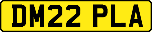 DM22PLA