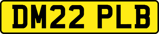 DM22PLB