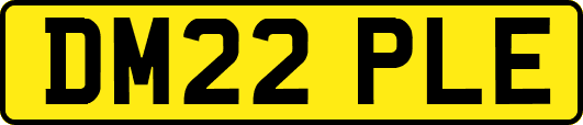 DM22PLE