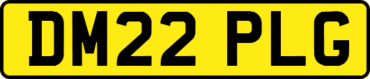 DM22PLG