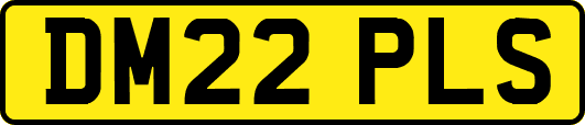 DM22PLS