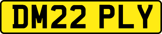 DM22PLY