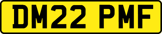 DM22PMF