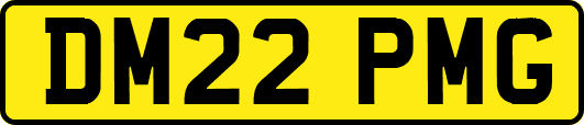 DM22PMG
