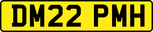 DM22PMH