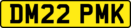 DM22PMK
