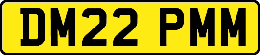 DM22PMM