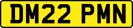 DM22PMN