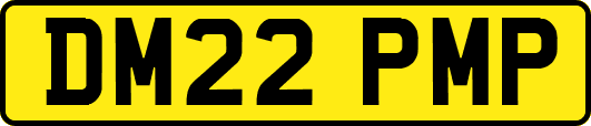 DM22PMP