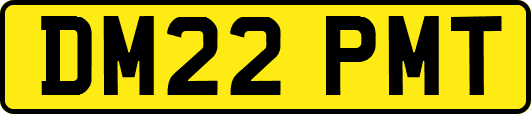 DM22PMT