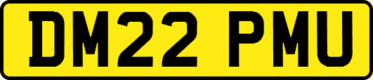 DM22PMU