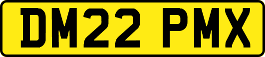 DM22PMX