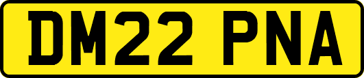 DM22PNA