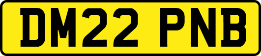 DM22PNB