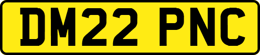 DM22PNC