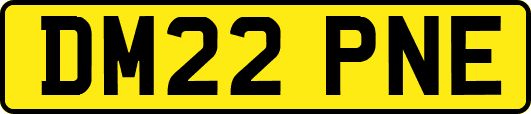 DM22PNE