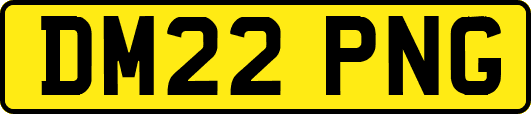 DM22PNG
