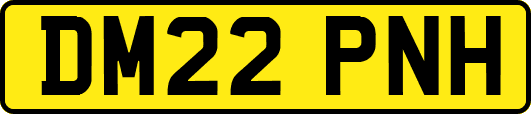DM22PNH