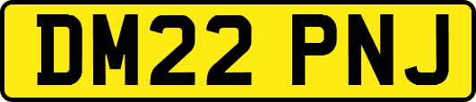 DM22PNJ