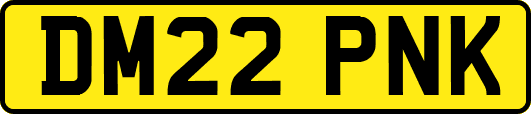 DM22PNK