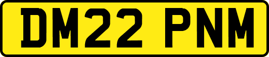DM22PNM
