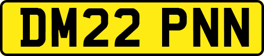 DM22PNN