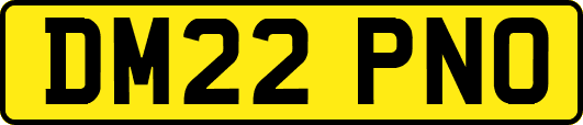 DM22PNO