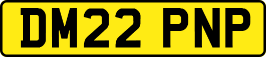 DM22PNP