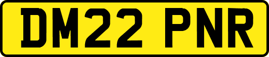 DM22PNR